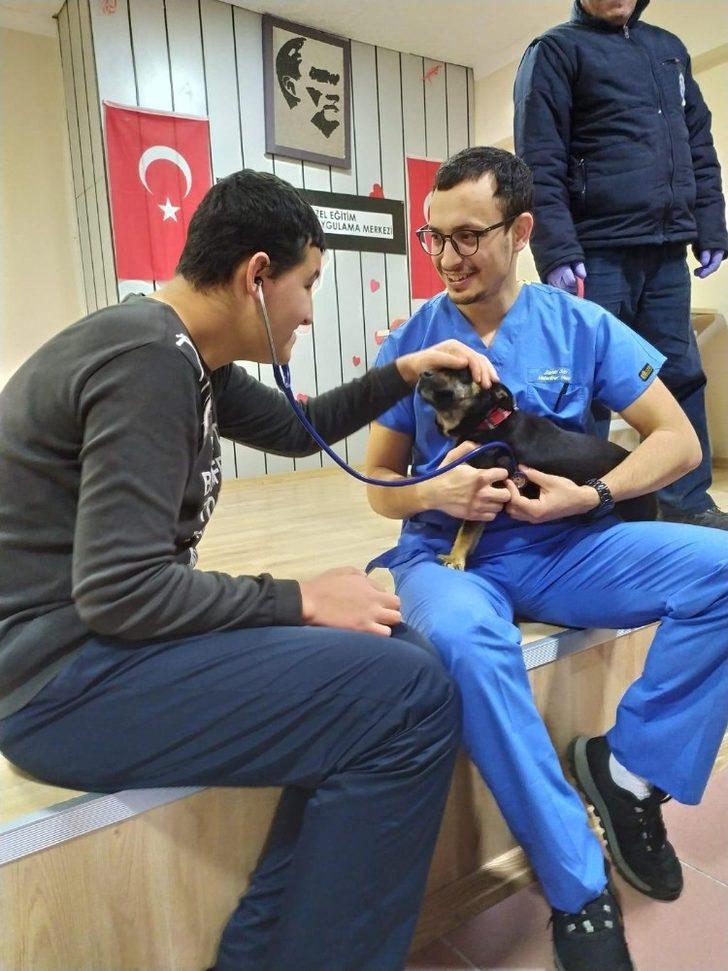 Gebzeli çocuklara hayvan sevgisi aşılanıyor G3