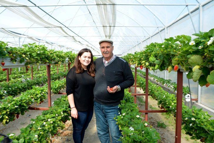 Genç ziraat mühendisi Söke Ovası’nı topraksız tarım ve çilekle tanıştırdı G4