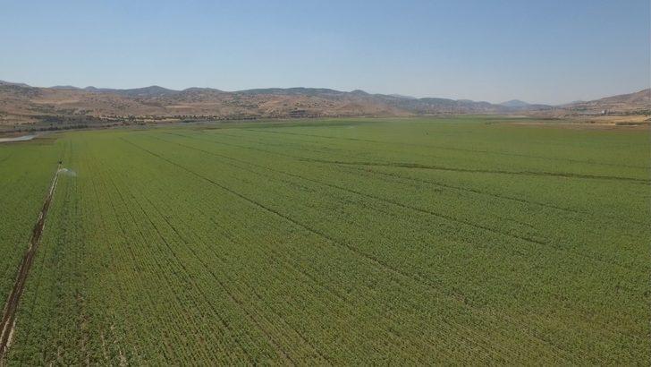 Tunceli’de DSİ 3 baraj yaptı, 5 sulama tesisi tamamladı G4