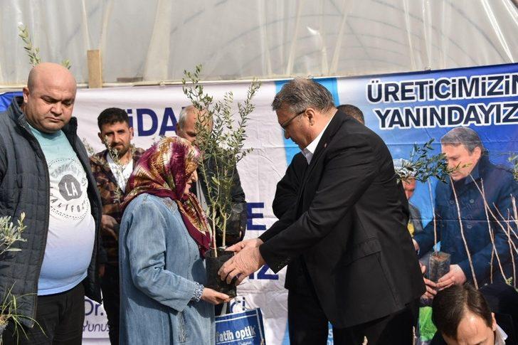 Yunusemre’den üreticiye fidan desteği G2