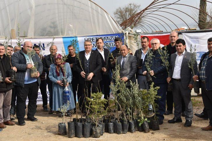 Yunusemre’den üreticiye fidan desteği G3