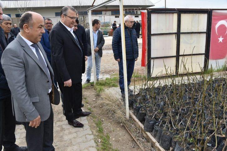 Yunusemre’den üreticiye fidan desteği G4