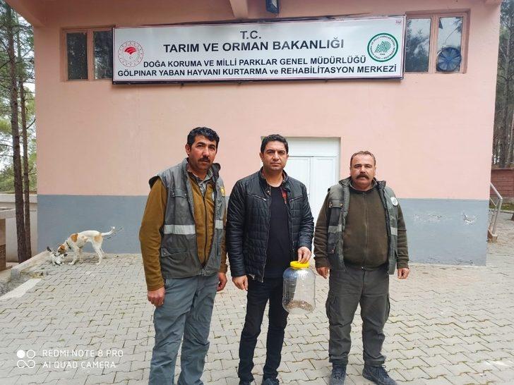 Saman balyalarının arasından Engerek Yılanı çıktı G3