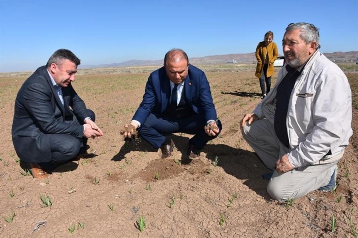 Tarım ve Orman m&uuml;d&uuml;rl&uuml;ğ&uuml; ekili tarım arazilerinde incelemelerde bulundu