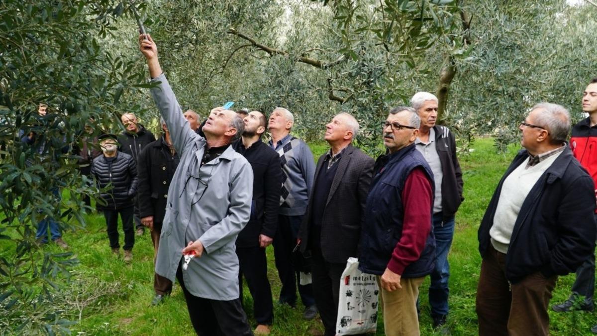 Bursa&rsquo;da &ccedil;ift&ccedil;ilere uygulamalı budama eğitimi