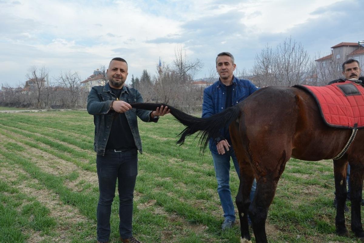 Kuyruğu kopan at i&ccedil;in 2 bu&ccedil;uk saatlik yeni kuyruk operasyonu