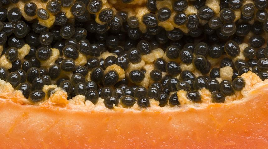 Haftada bir kez papaya yerseniz vücudunuzda neler olur?