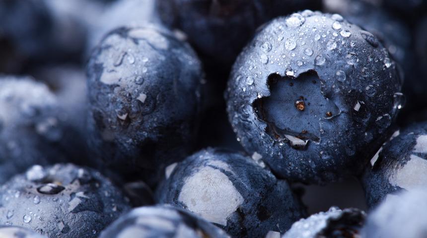 Unutkanlığa iyi gelen besinler nelerdir?