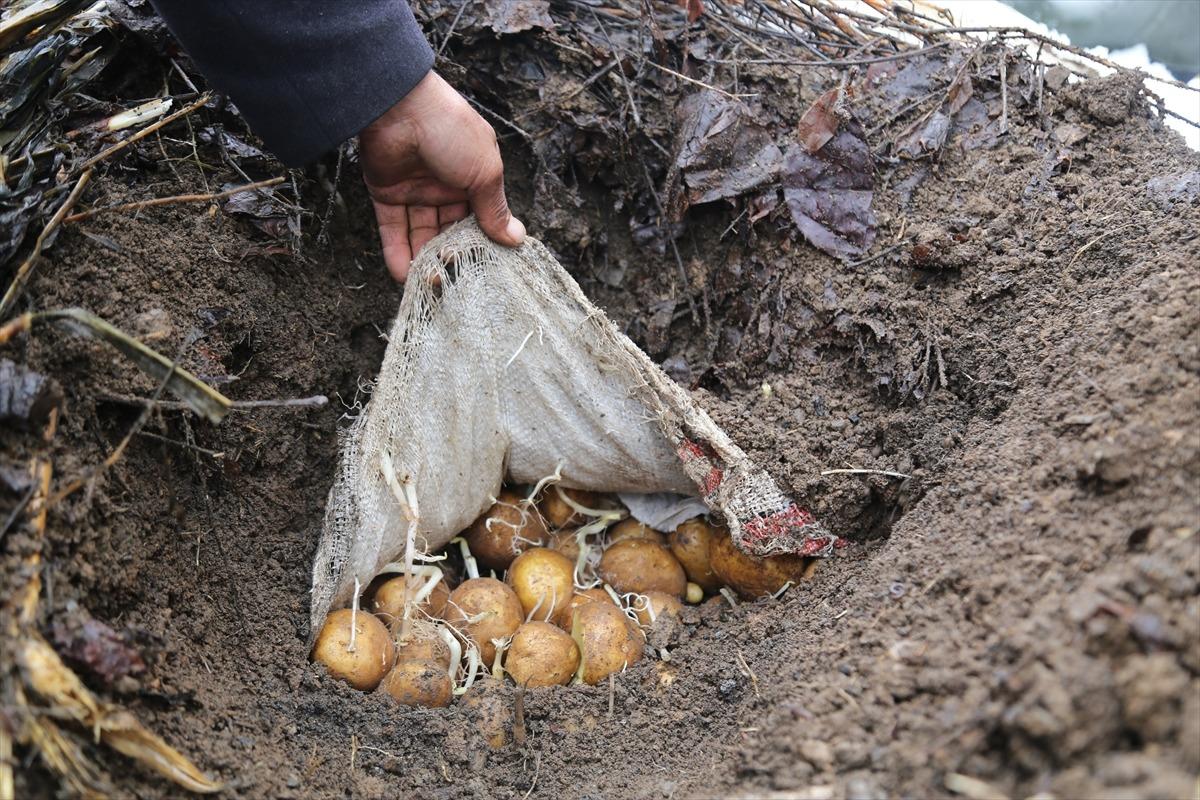 Asırlık y&ouml;ntemle besinlerini toprak altında saklıyorlar