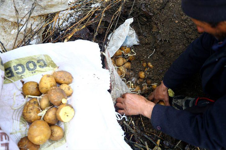 Asırlık yöntemle besinlerini toprak altında saklıyorlar G3