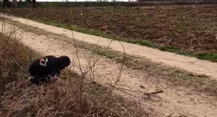 Minik mültecinin umuda yolculuğu yürek sızlattı G3