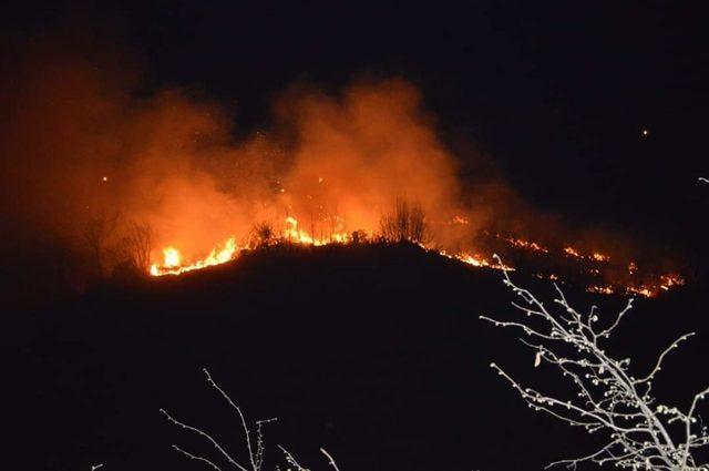 Giresun’da ormanlık alanda yangın