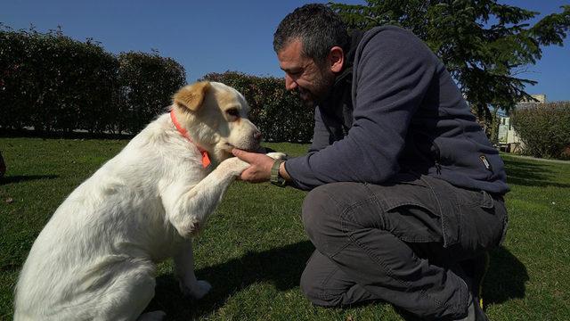 Ali Yeşilırmak ile Dostumun Dünyası4