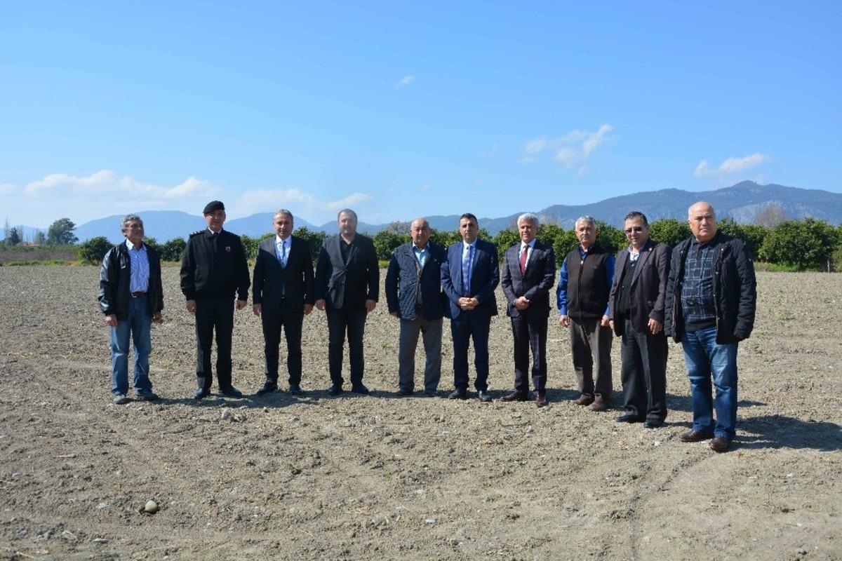 Muğlalı &ccedil;ift&ccedil;iye &rsquo;pikan cevizi&rsquo; desteği