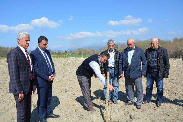 Muğlalı çiftçiye ’pikan cevizi’ desteği G2