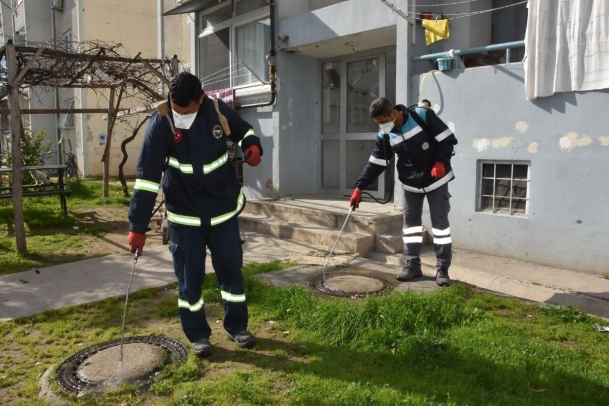Ceyhan&rsquo;da larva m&uuml;cadelesi başladı