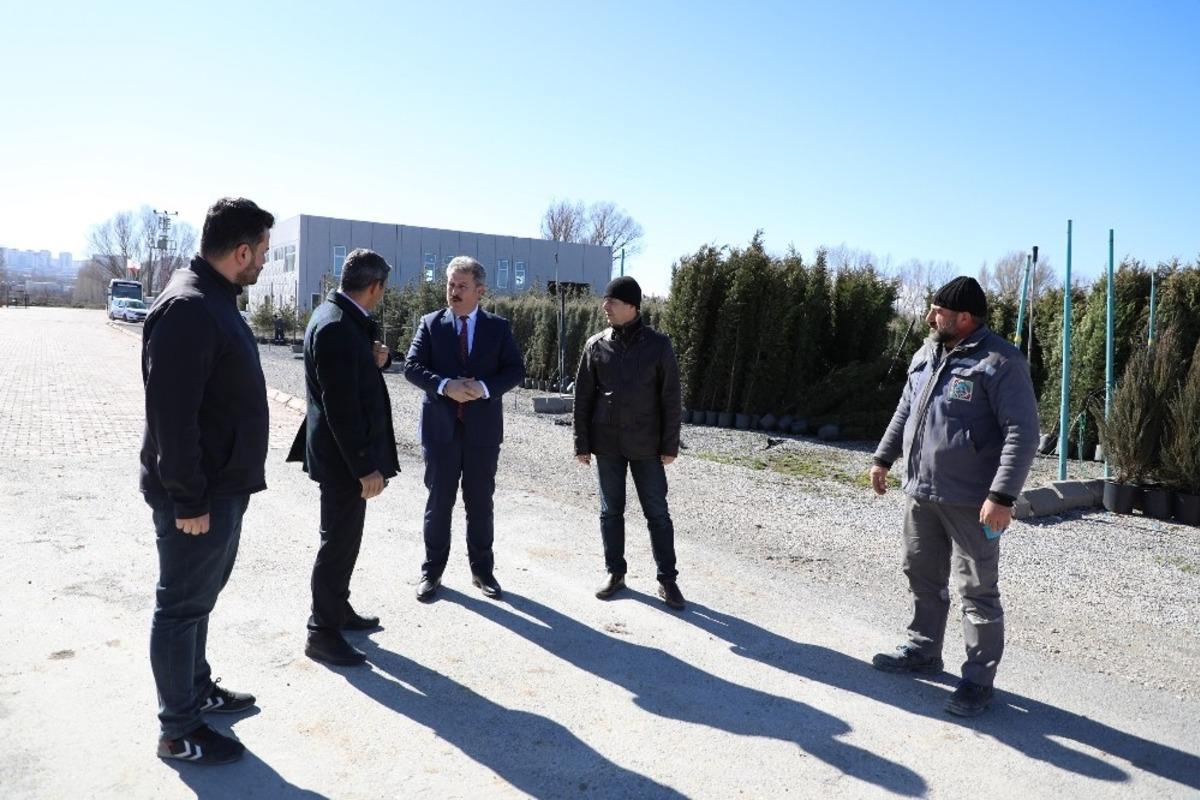 Melikgazi i&ccedil;in tırlarla ağa&ccedil;lar geliyor