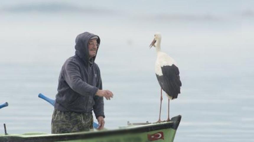 9 yıllık dostluk! Adem amca ile 'Yaren' leylek yeniden buluştu