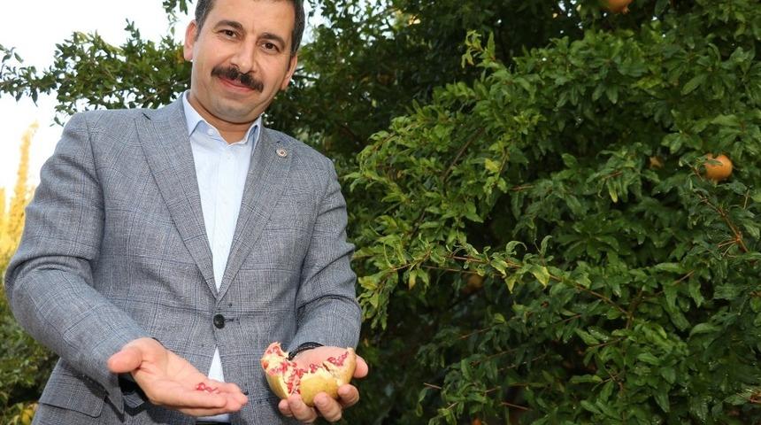 Karak&ouml;pr&uuml;&rsquo;de &ldquo;KED&Uuml;P&rdquo; kuruluyor