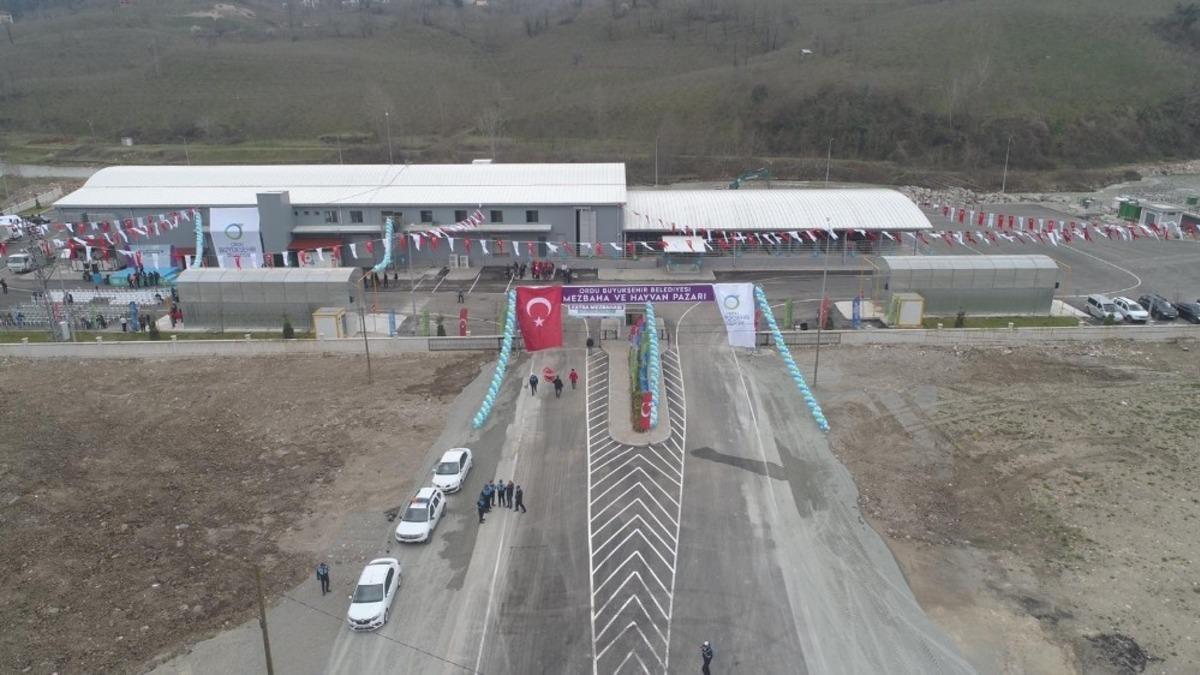 Doğu Karadeniz&rsquo;in en b&uuml;y&uuml;k mezbahası Fatsa&rsquo;da a&ccedil;ıldı