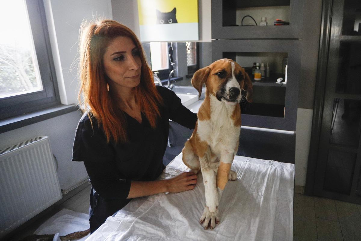 Gen&ccedil;lik hastalığına yakalanan Fındık, hayata tutundu