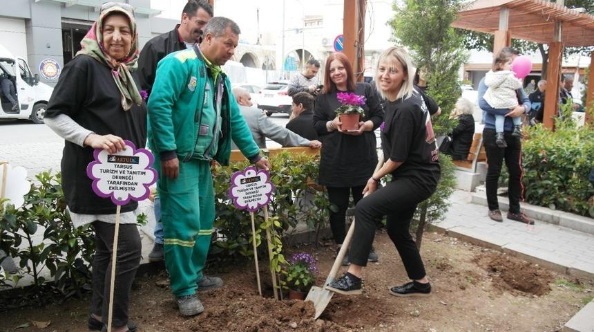 Tarsus mor begonvil kenti oluyor