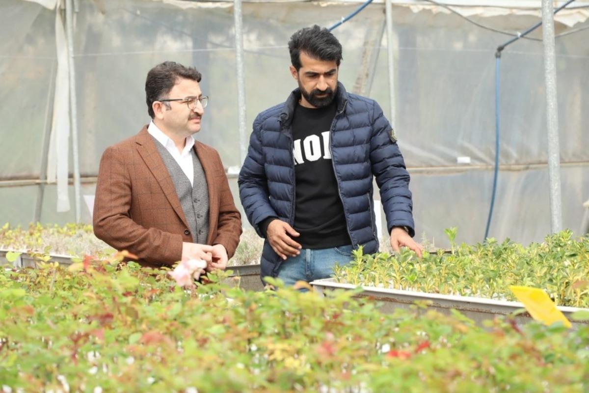 Kaymakam &Ccedil;am, "Vatandaşlarımızın daha yeşil bir Kızıltepe&rsquo;de yaşamalarına olanak sağlayacağız"