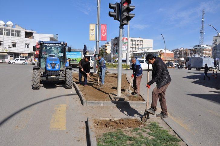 Cizre’de yeşillendirme çalışmaları aralıksız devam ediyor G3
