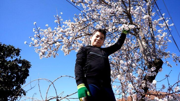 Sarıgöl’de baharın tüm renkleri canlandı G2