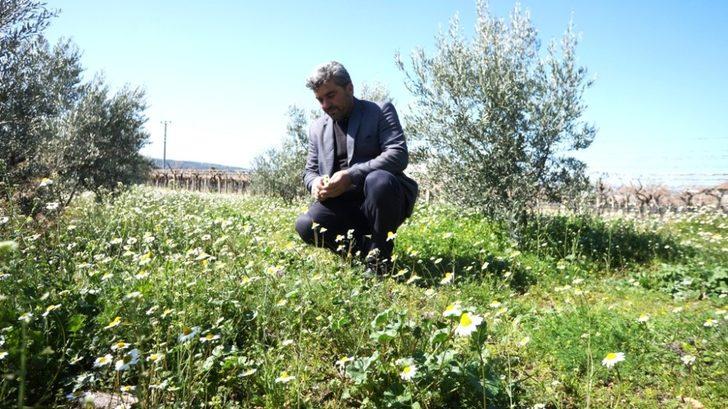 Sarıgöl’de baharın tüm renkleri canlandı G3