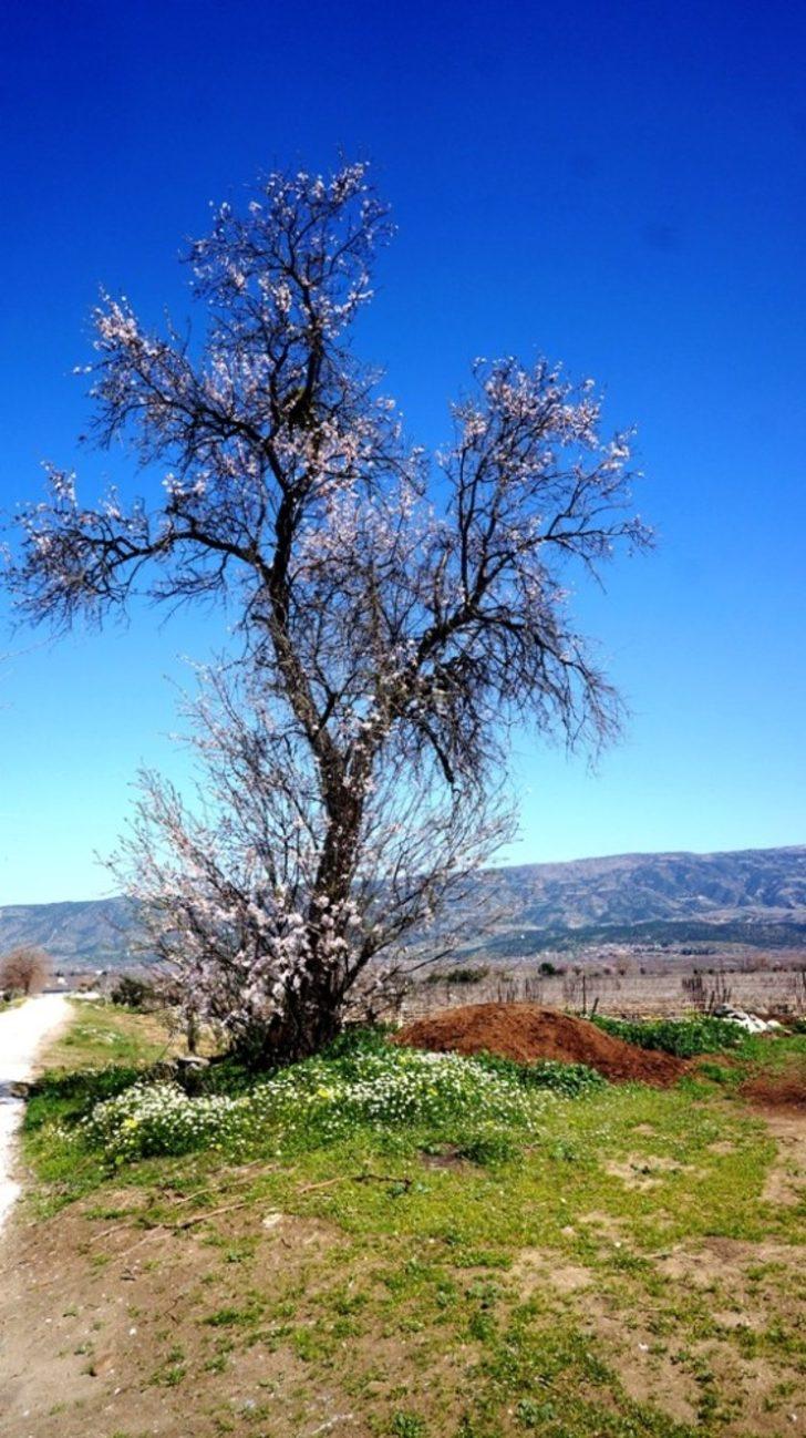 Sarıgöl’de baharın tüm renkleri canlandı G5