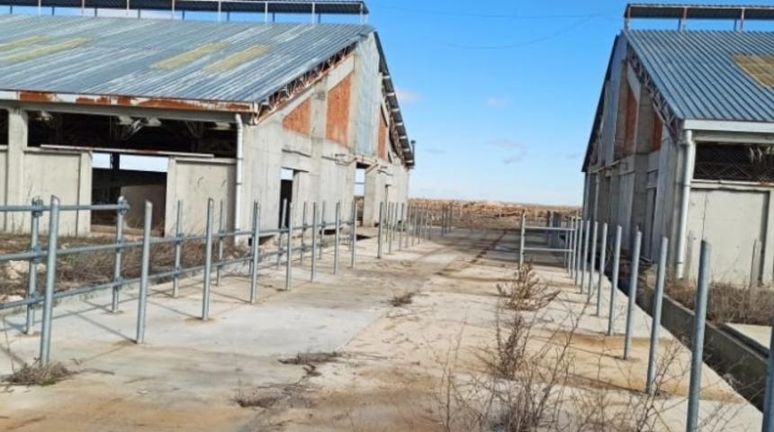 Süt sığırcılığı tesisinden hırsızlığa 3 tutuklama