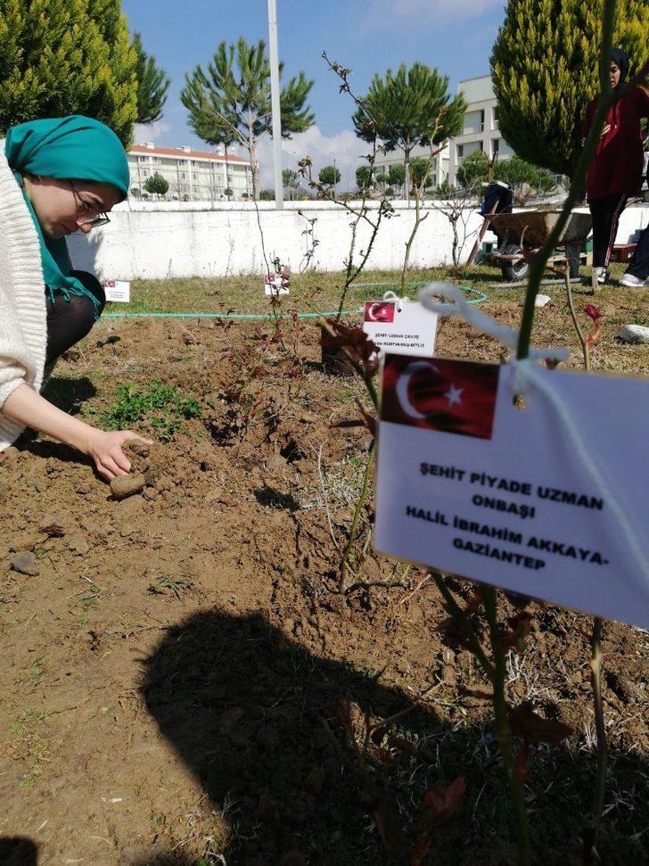 İdlib şehitlerinin adına gül fidanı diktiler G4