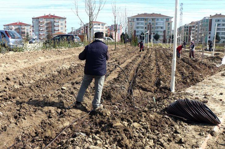 Çorlu Nefes Park’ta toprak altı damla sulama sistemi kullanılacak G4