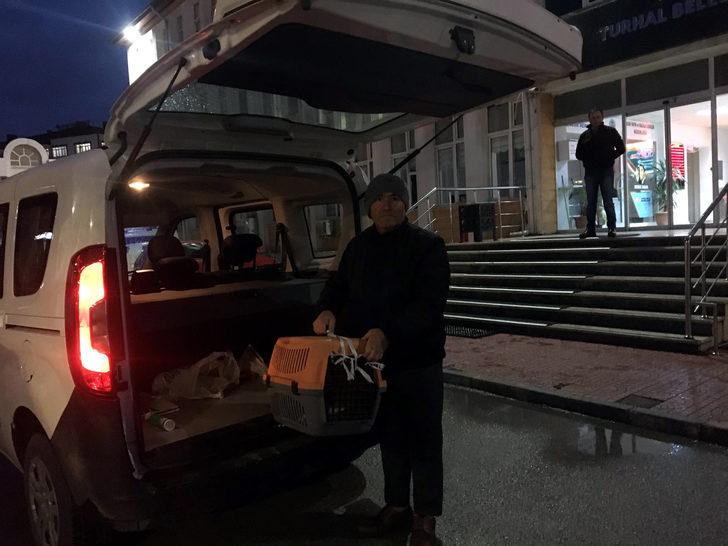 Öğrencilerin maskotu sosyal medyanın gündemi olmuştu! Fındık'tan kötü haber G3