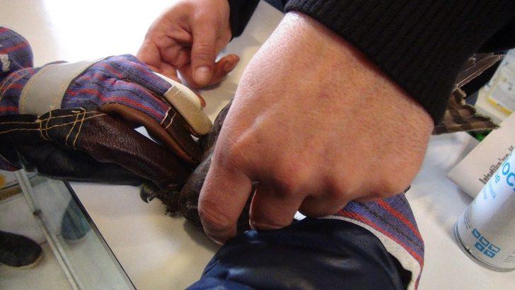 Yaralı atmacaya sahip çıktılar G3