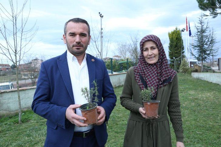 ‘Tıbbi ve Aromatik Bitki Üreticiliği’ projesinde başvurular başladı G2