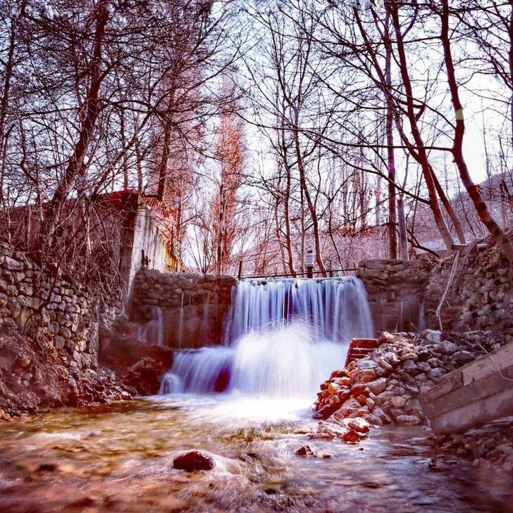 Baharın müjdecisi Çiğdem görüntülendi G3