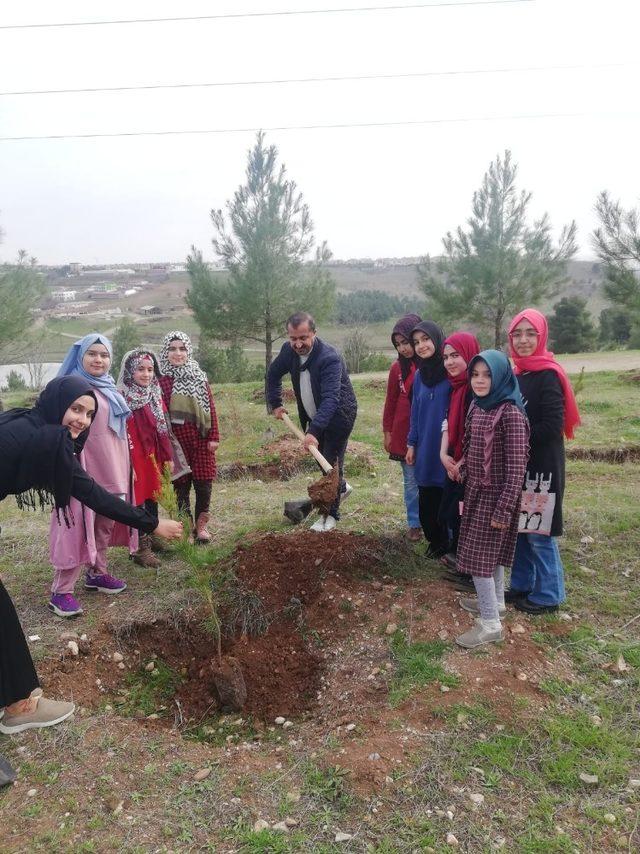 Ortaokul öğrencileri fidan dikti