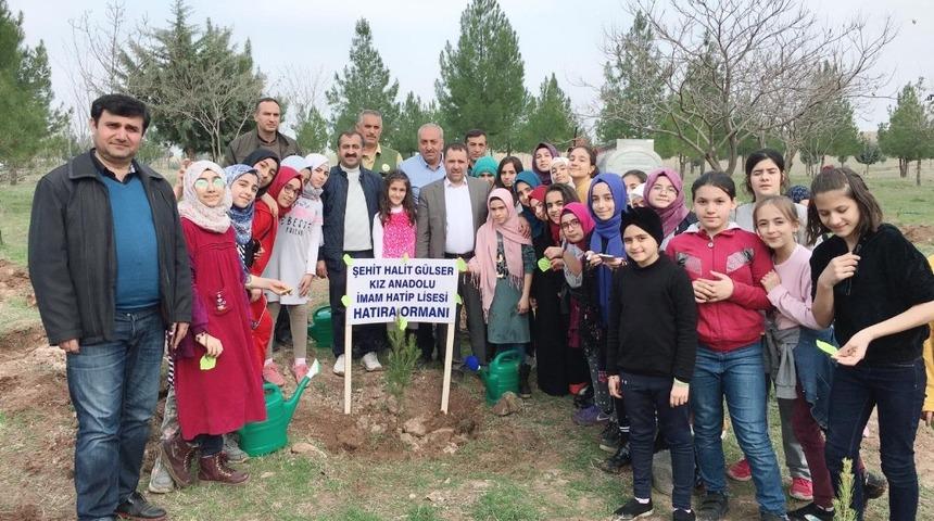 Ortaokul öğrencileri fidan dikti