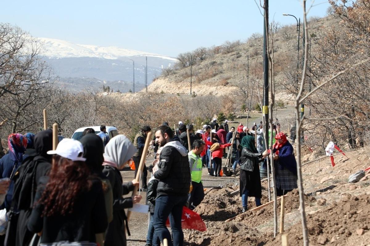Talas&rsquo;tda İdlib şehitleri i&ccedil;in fidan dikimi