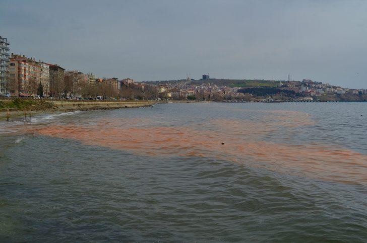 Marmara Denizi'nde korkutan görüntü! Uzmanlardan açıklama G1