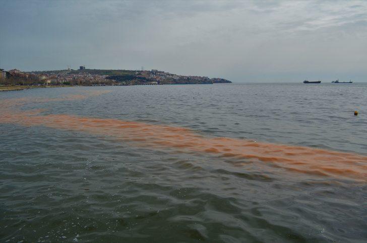 Marmara Denizi'nde korkutan görüntü! Uzmanlardan açıklama G3