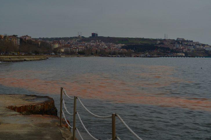 Marmara Denizi'nde korkutan görüntü! Uzmanlardan açıklama G5