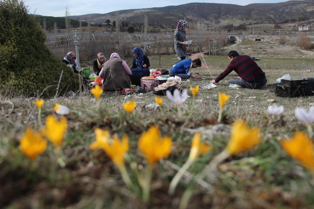 K&uuml;tahya&rsquo;da &ccedil;iğdemler &ccedil;i&ccedil;ek a&ccedil;tı