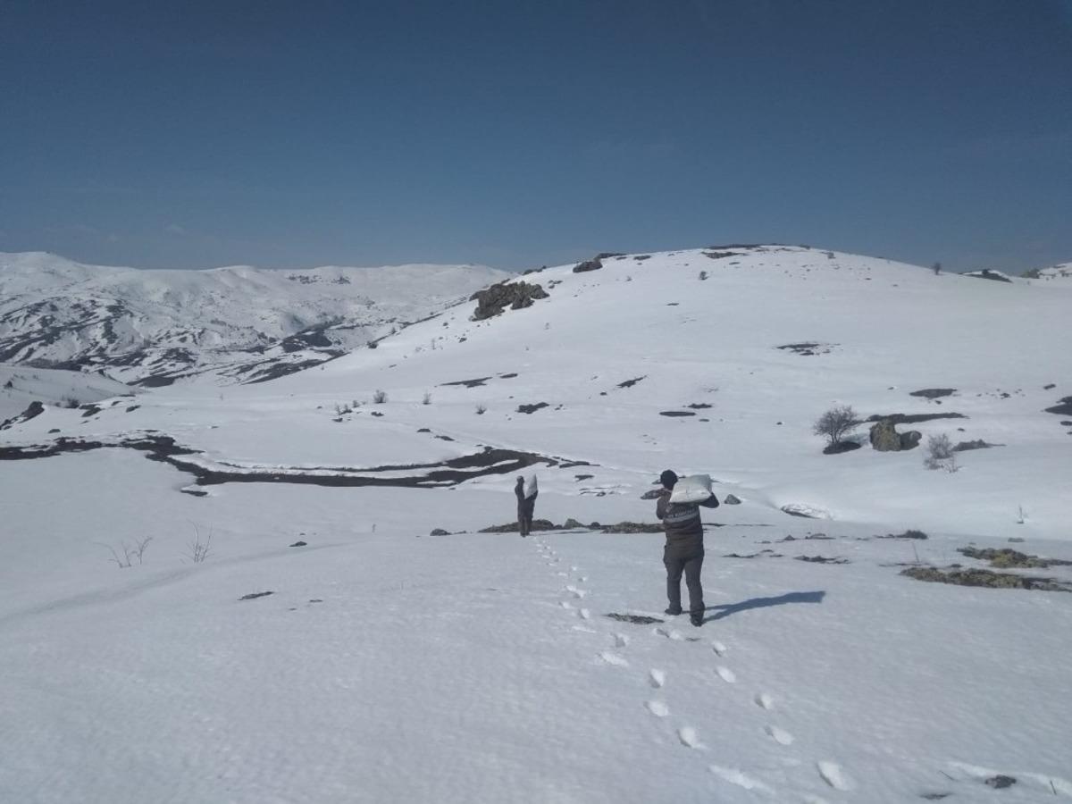 Yaban hayvanları unutulmadı