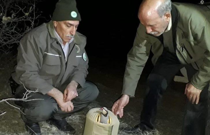 Elazığ’da kaçak avla mücadele, 6 şahıs yakalandı G1