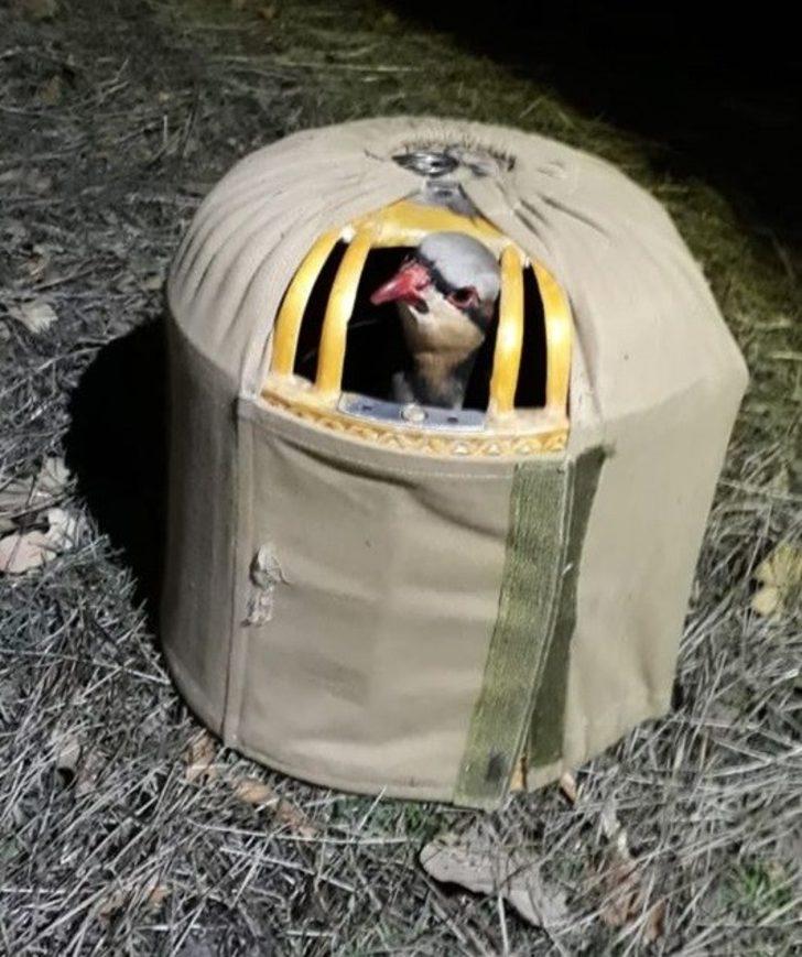 Elazığ’da kaçak avla mücadele, 6 şahıs yakalandı G3