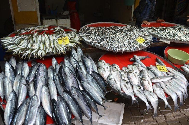 Kuşadası Belediyesi’nden halk sağlığı denetimleri G3