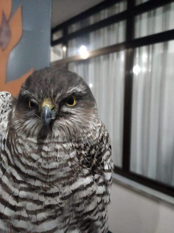 Yaralı Doğan’ın yardımına itfaiye yetişti G2